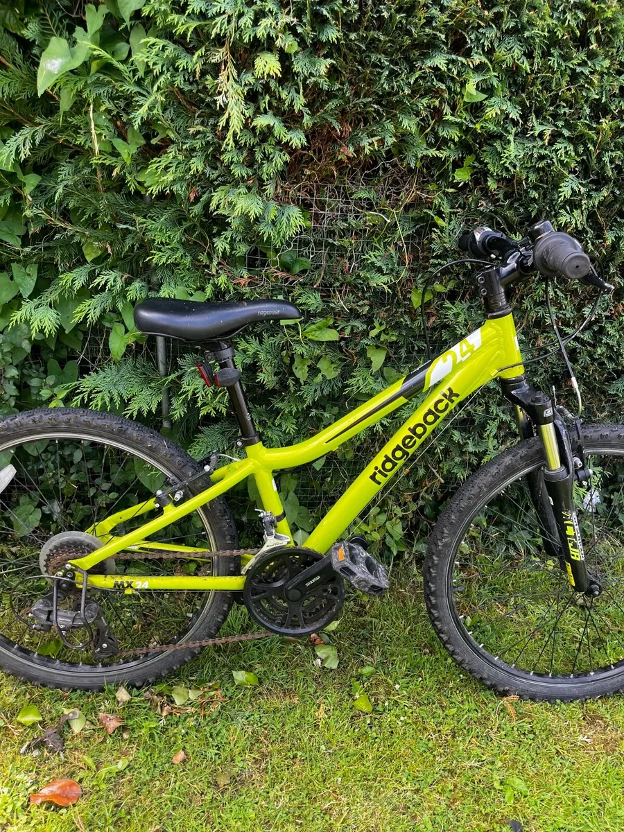 Kids mountain bike - Image 2