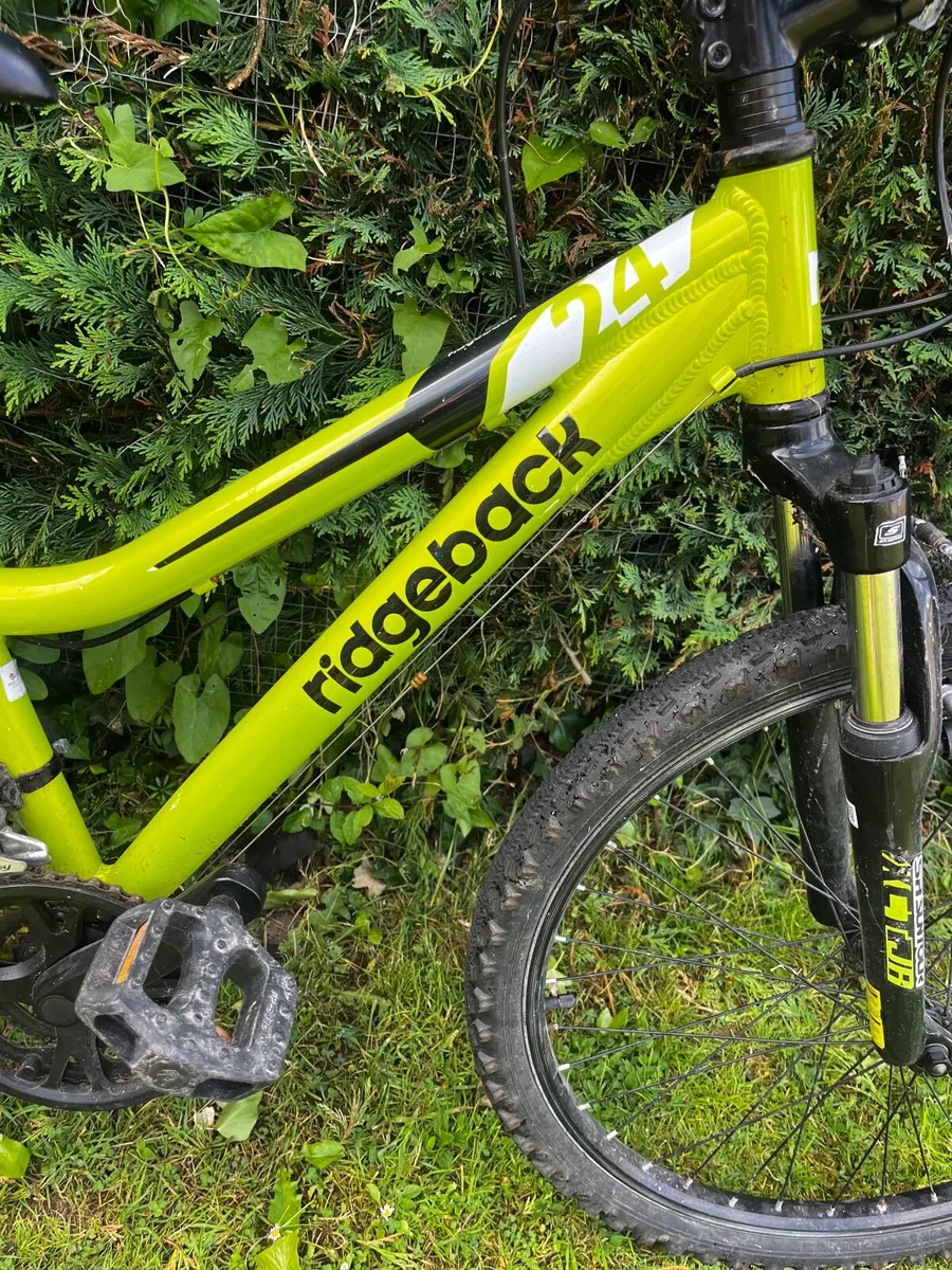 Kids mountain bike - Image 1