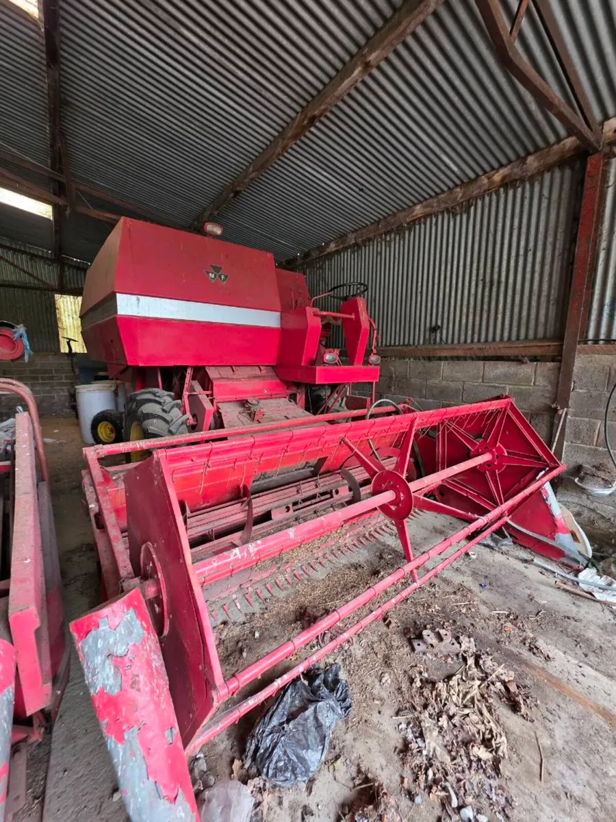 Clearance Auction this Wednesday 24th - Image 1
