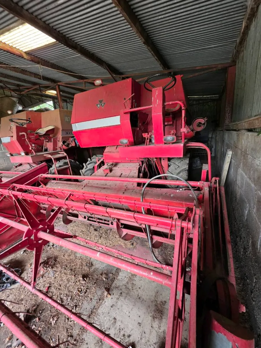 Clearance Auction this Wednesday 24th - Image 2