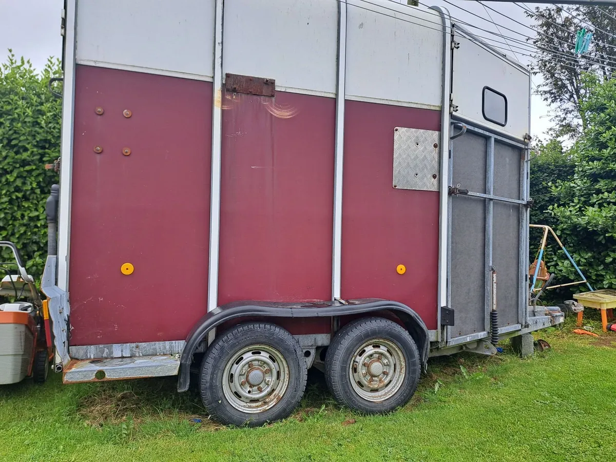 Ifor williams double horsebox - Image 2