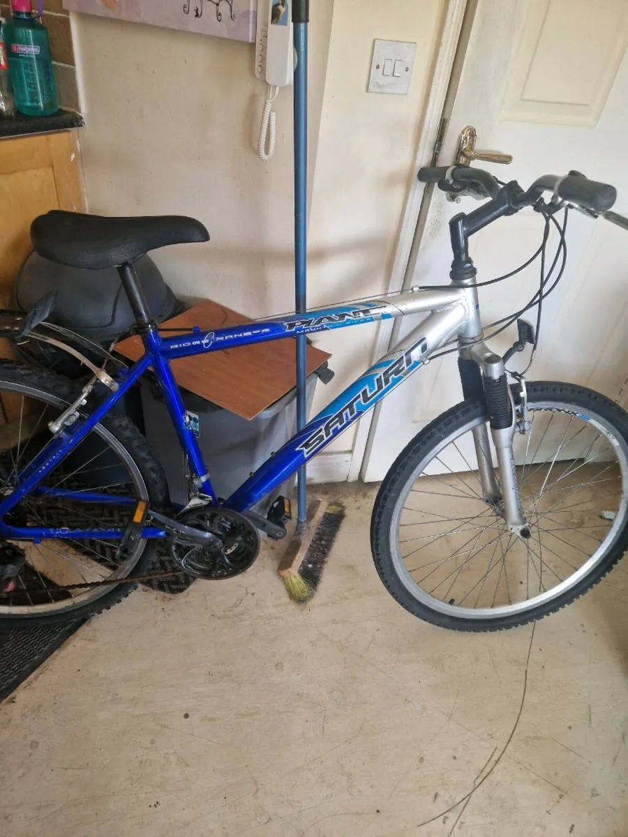 Mountain type bike - Image 1