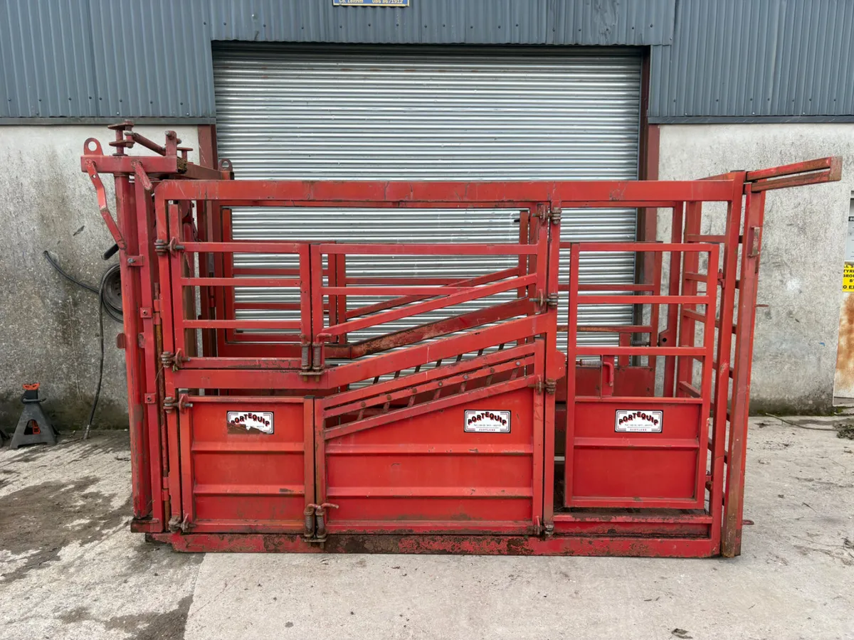 Heavy duty cattle crush - Image 1