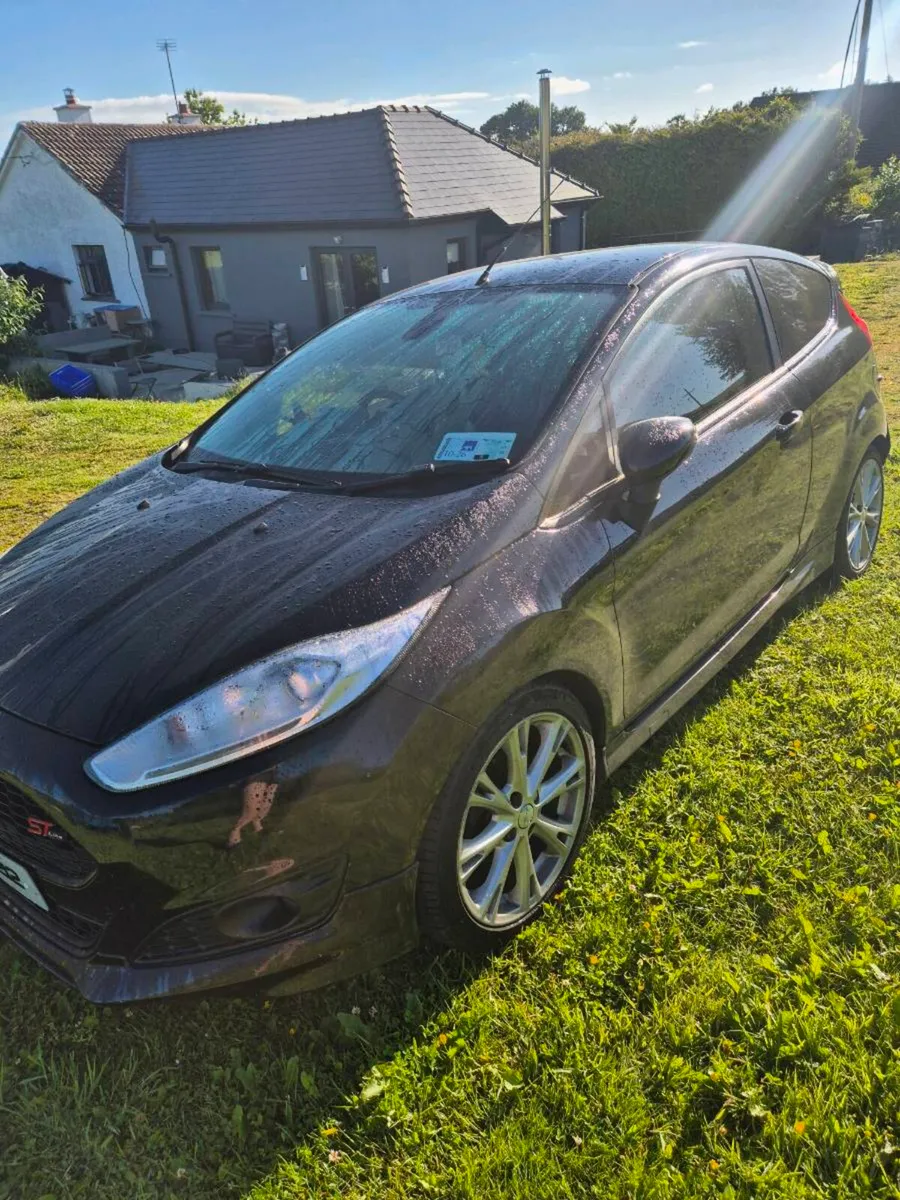 Fiesta van - Image 2