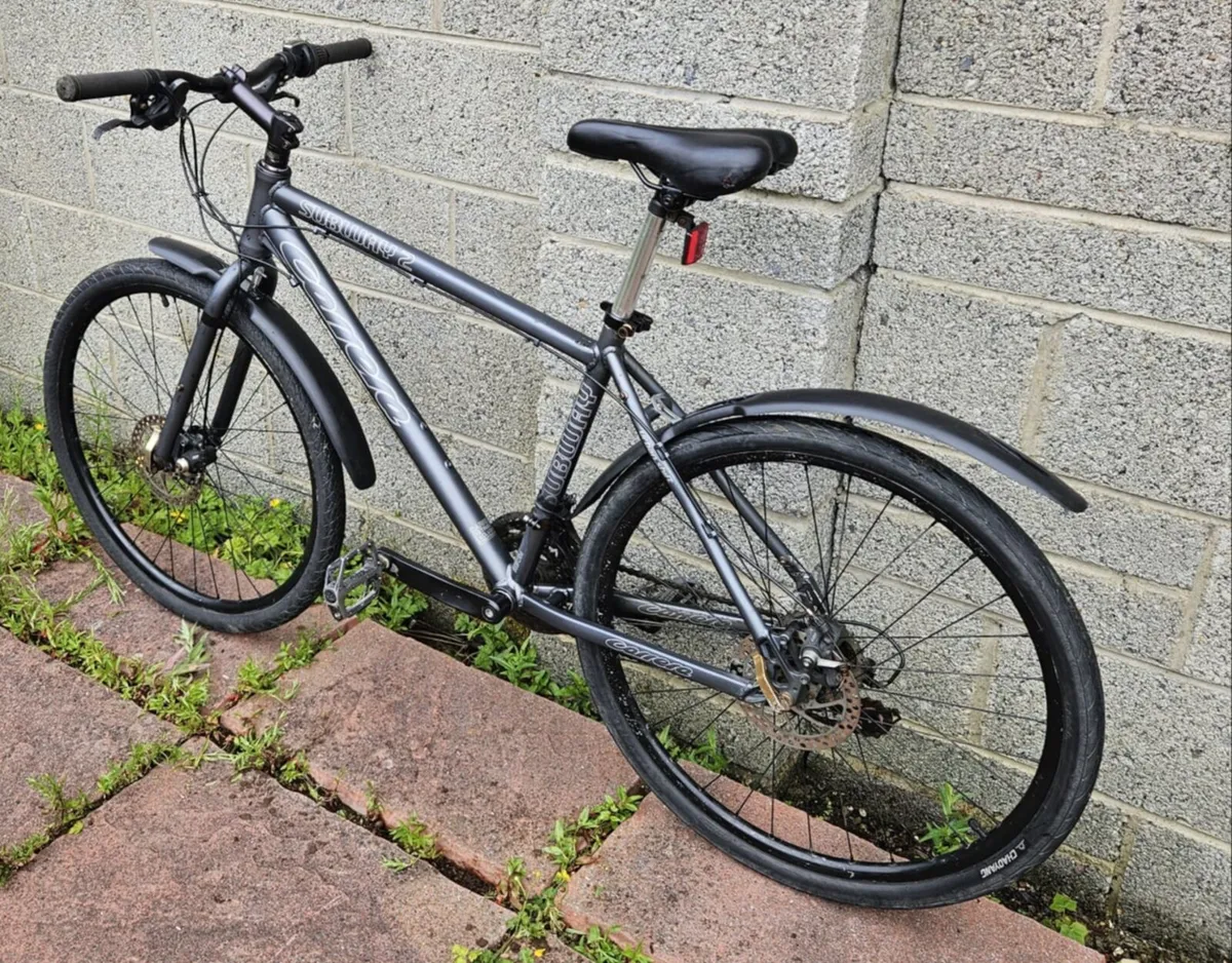 Carerra mountain bike - Image 4