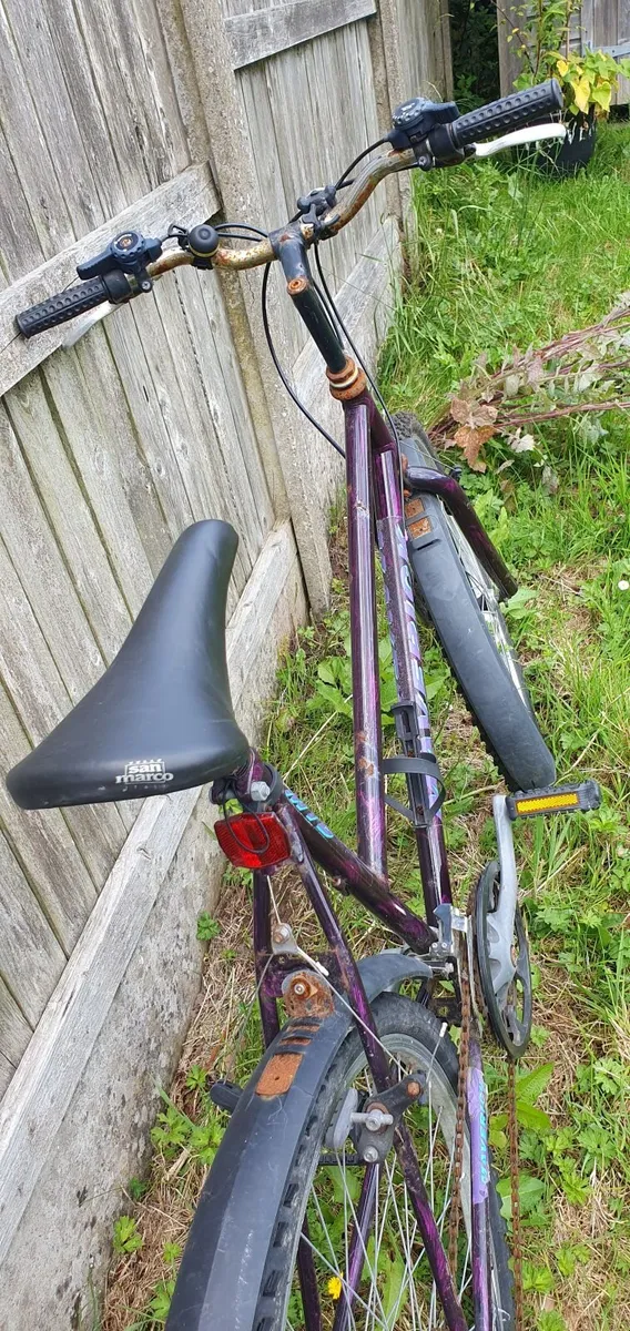 Ladies Bicycle - Image 2
