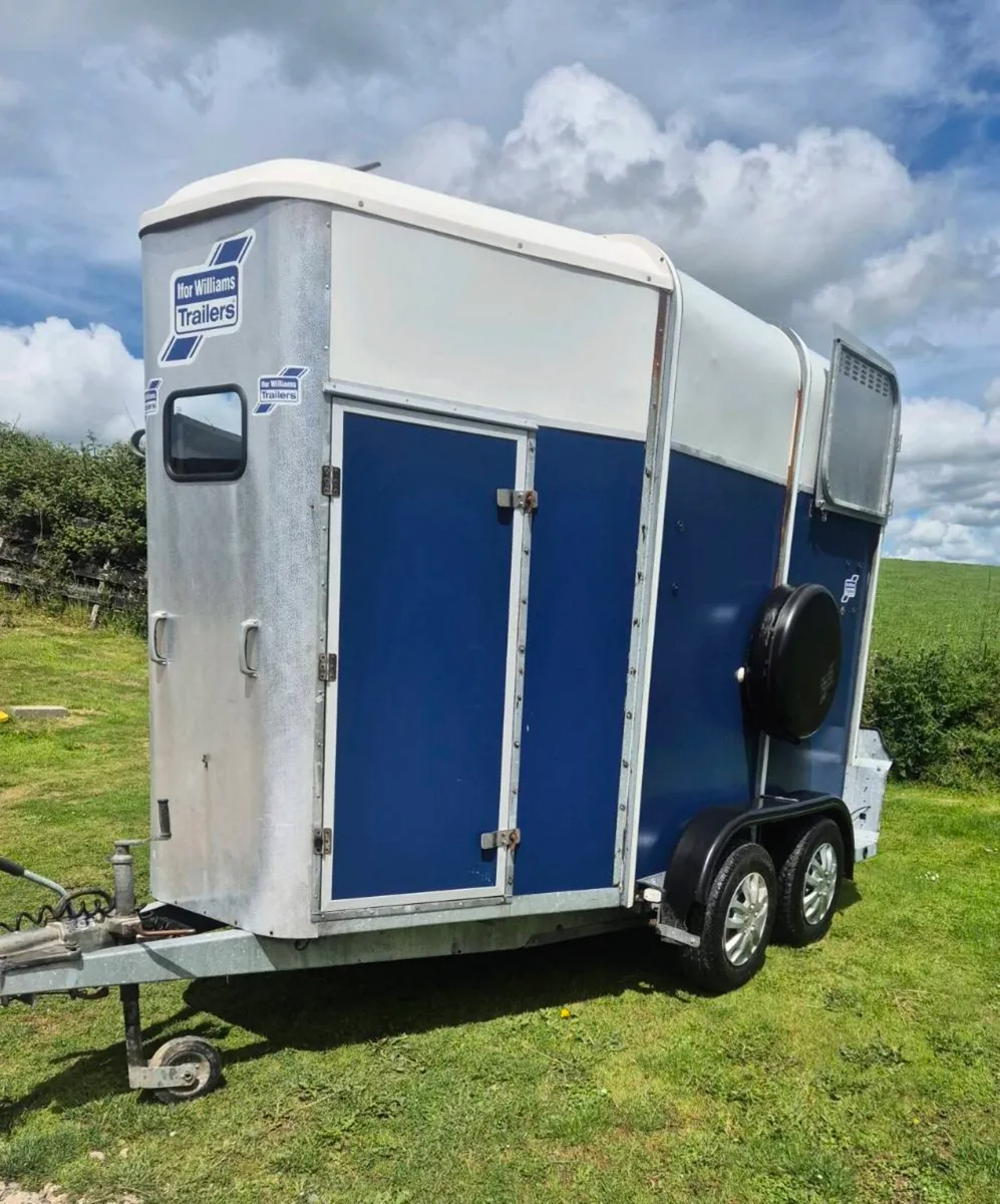 Ifor williams 505 Horsebox 2008 - Image 3