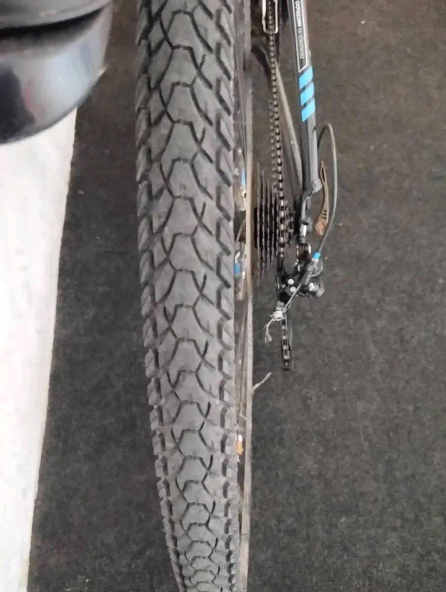 28inch Trek hybrid - Image 3