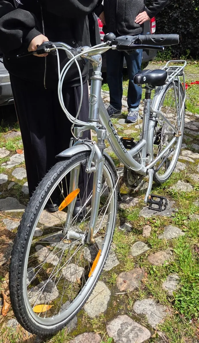 Bicycle - Image 1