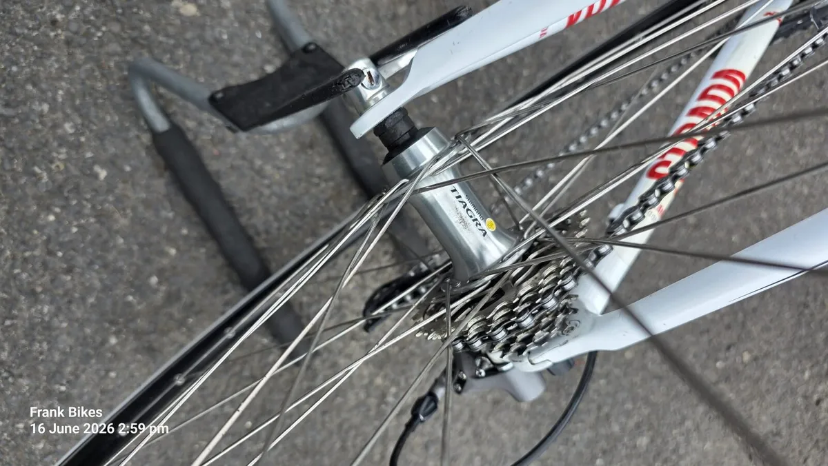 🚴 KTM Strada 1000 Road Bike – Carbon Fork - Image 4