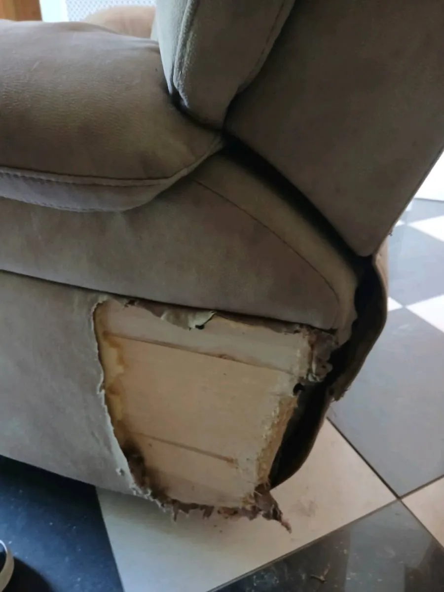 Recliner Armchair - Image 2