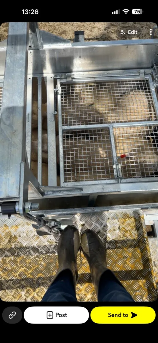 Mobile cage dipping - Image 3