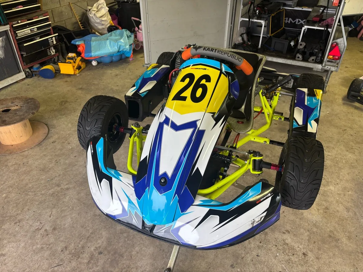 Championship Winning Synergy Bambino Kart - Image 2