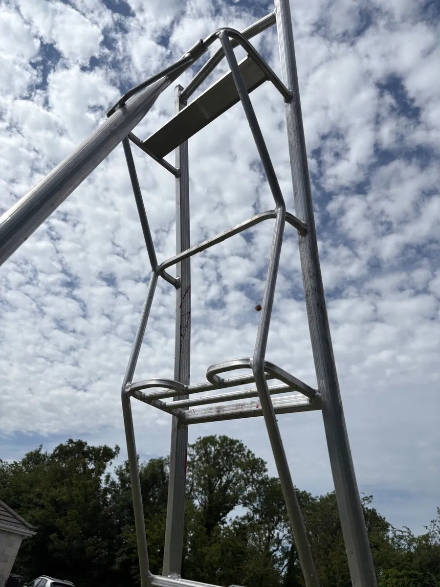 Garden ladder for tall hedge - Image 2