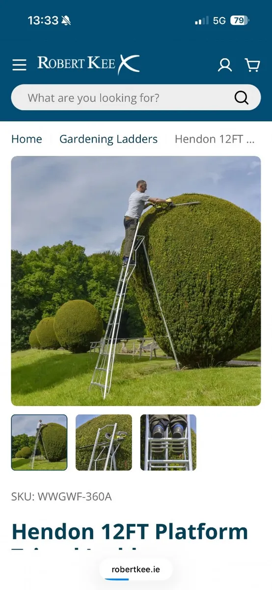 Garden ladder for tall hedge - Image 3