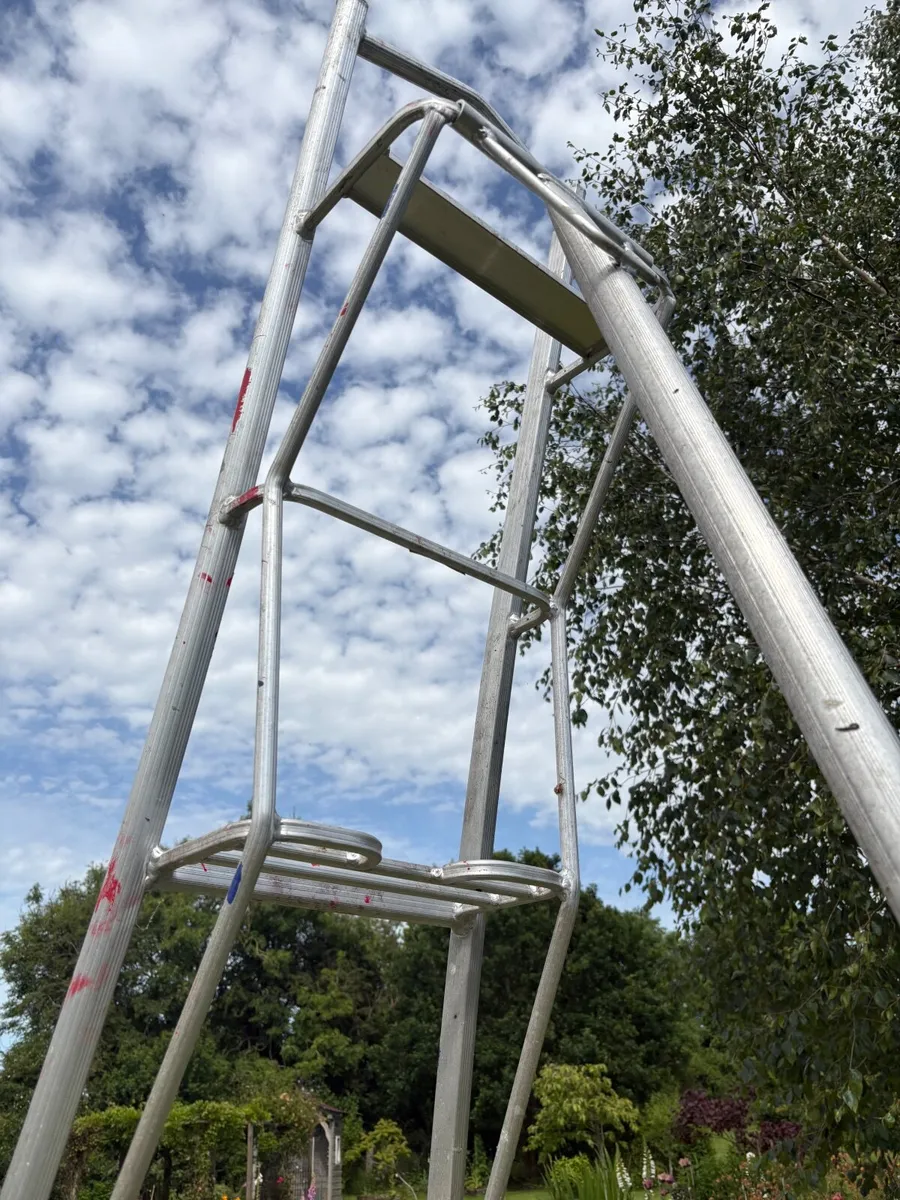 Garden ladder for tall hedge - Image 4