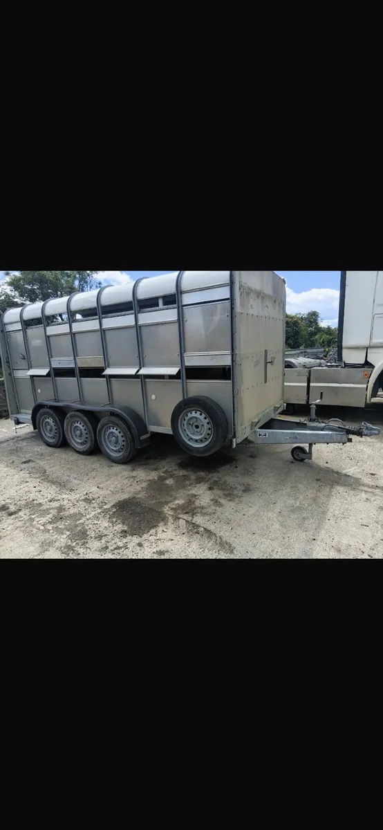 Ivor Williams sheep&cattle trailer - Image 1