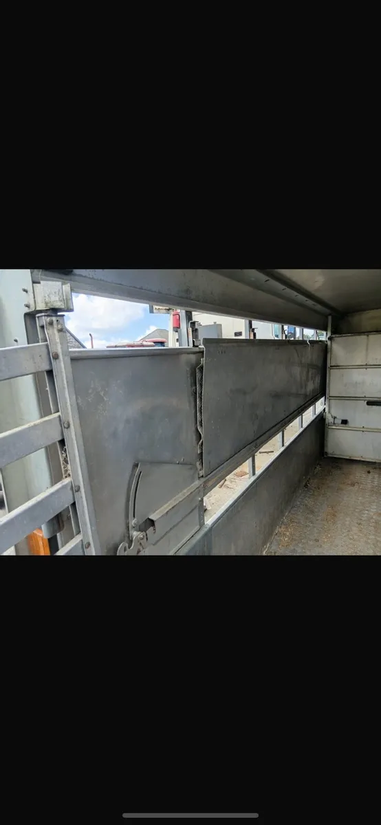 Ivor Williams sheep&cattle trailer - Image 2