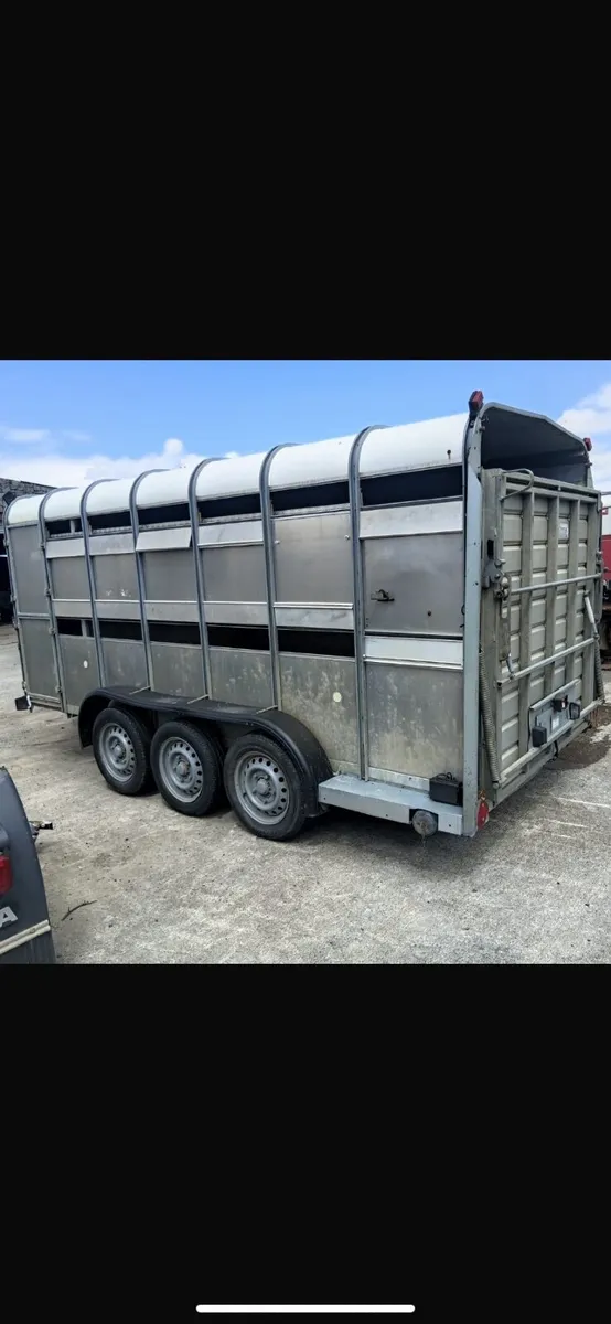 Ivor Williams sheep&cattle trailer - Image 3