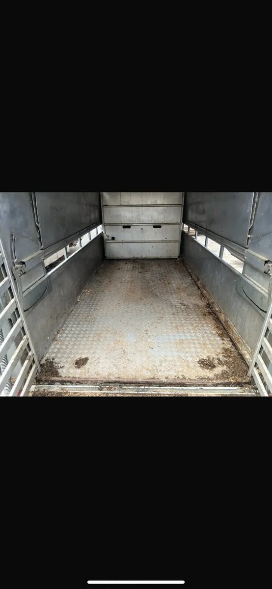 Ivor Williams sheep&cattle trailer - Image 4