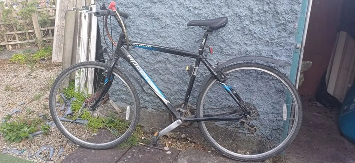 Mans Bicycle