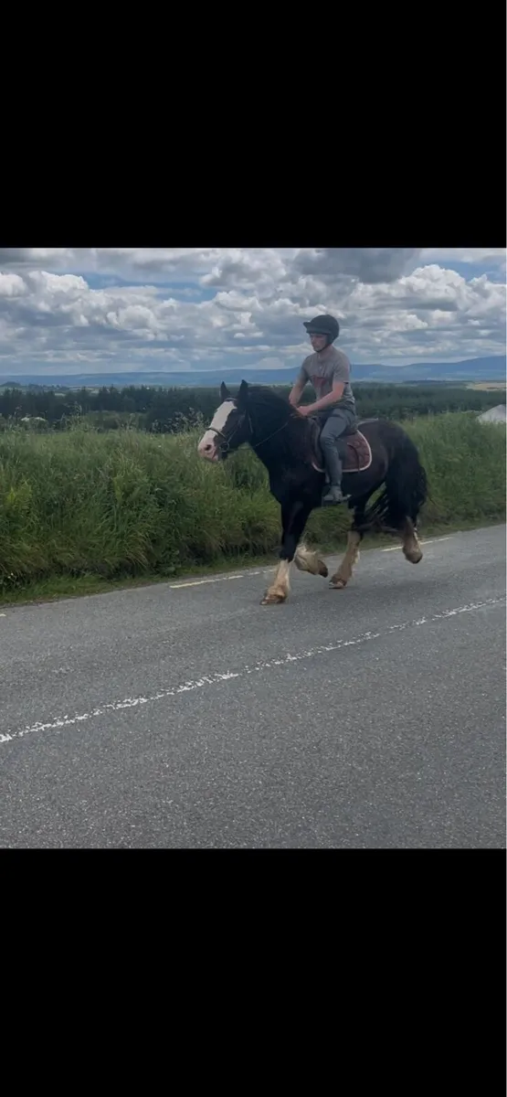 Traditional Irish cob - Image 3