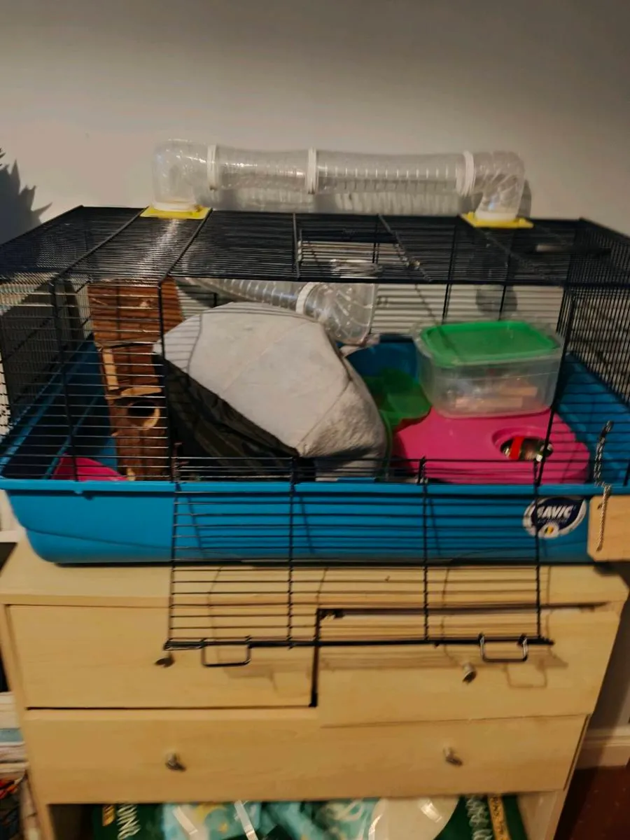 Hamster cage, bedding and toys - Image 1