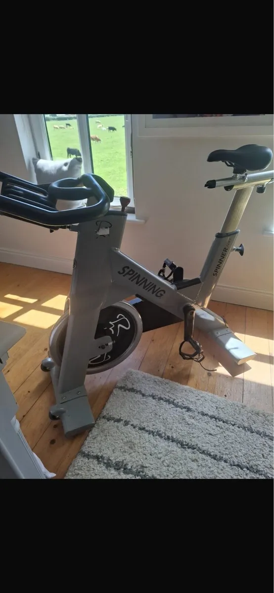 STAR TRACK SPINNING BIKE - Image 2