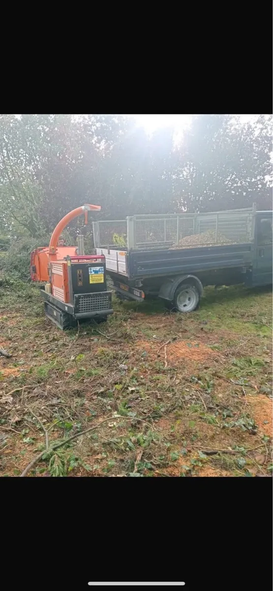 Tree removal - Image 4