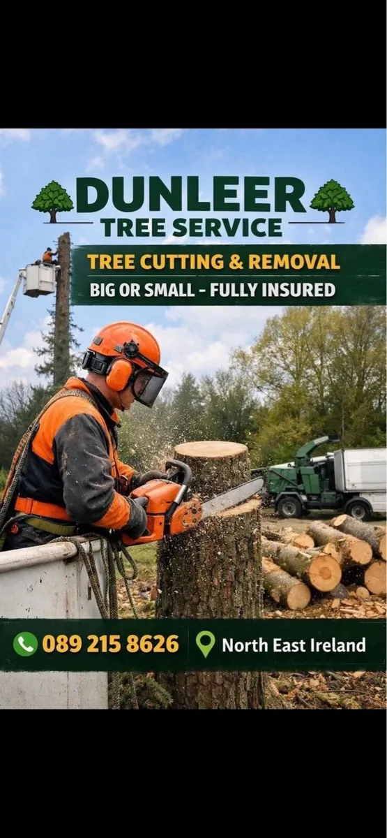 Tree removal - Image 2
