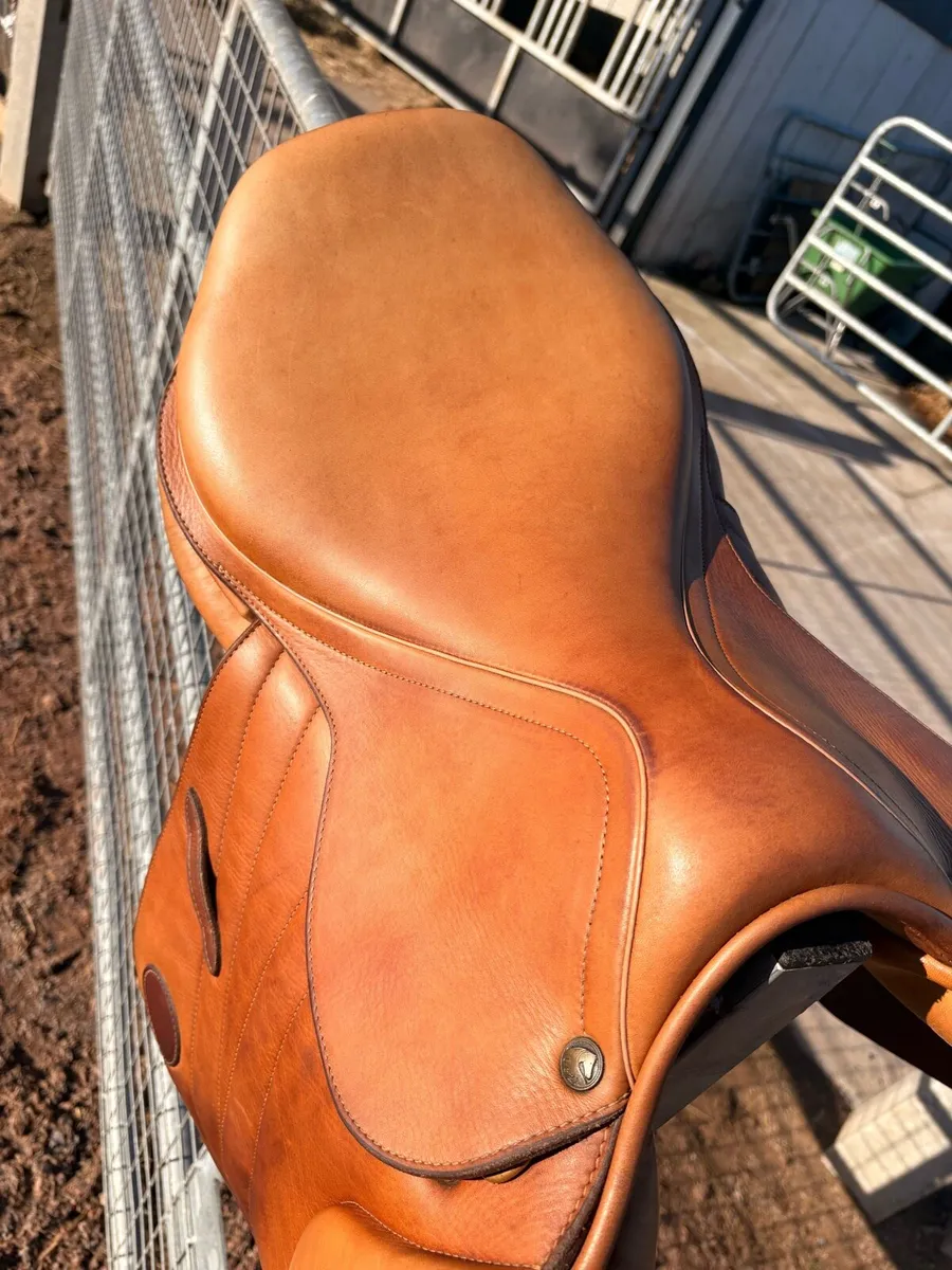 Ucha Jumping Saddle, 17,5“, Medium-Wide - Image 3