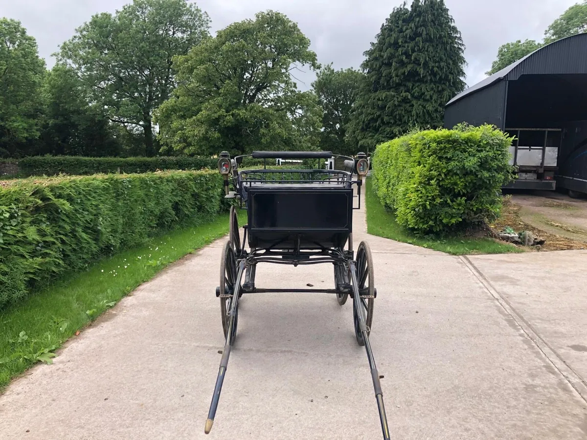 Horse drawn carriage - Image 4