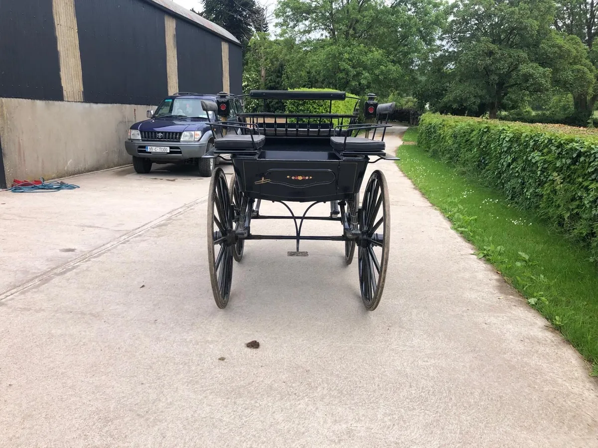 Horse drawn carriage - Image 3