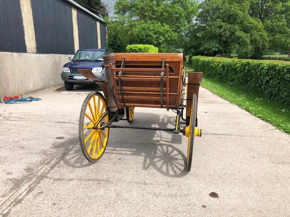 Horse carriage - Image 3