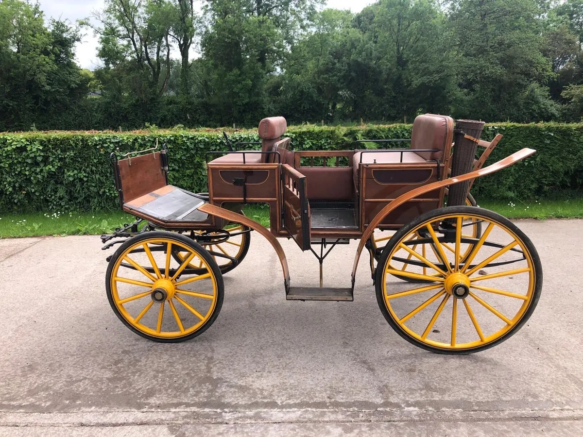 Horse carriage - Image 4