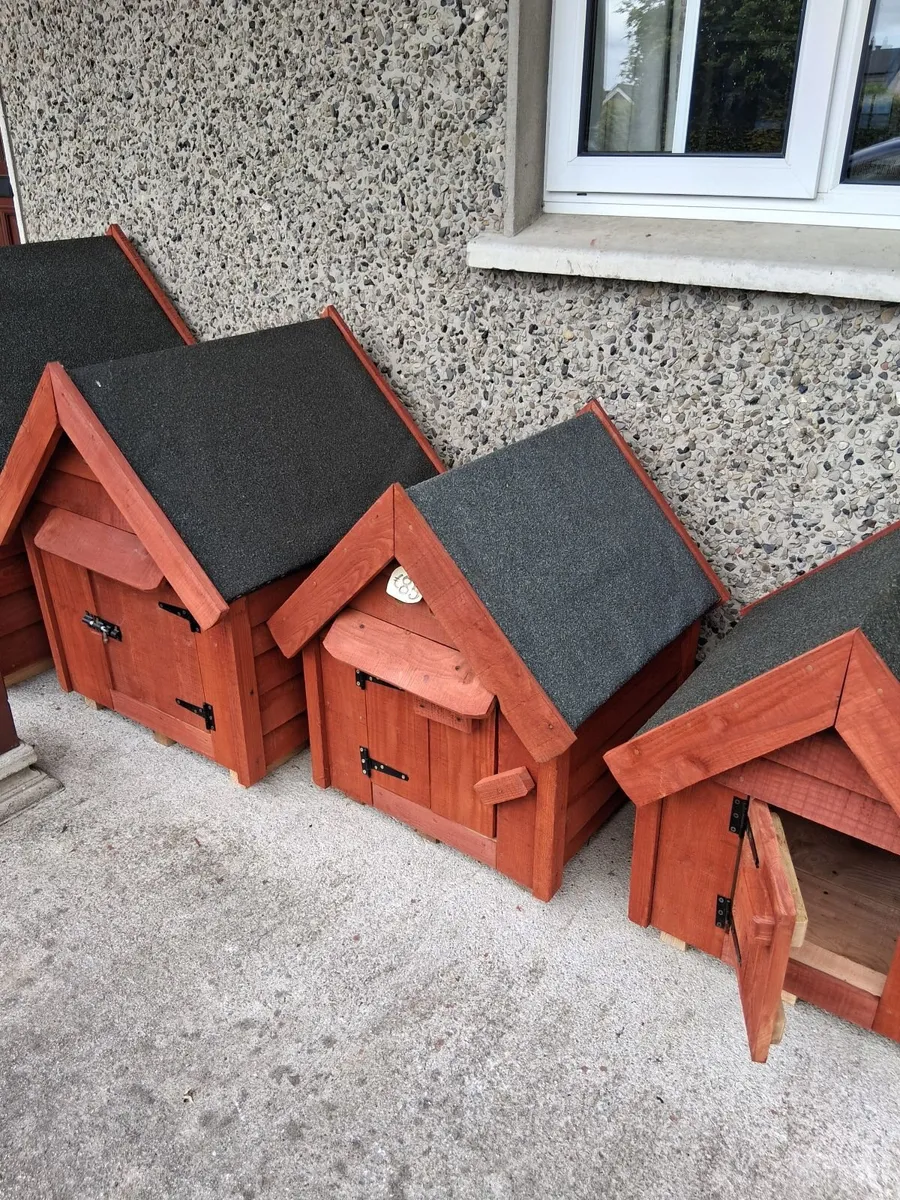 Dog kennels - Image 1