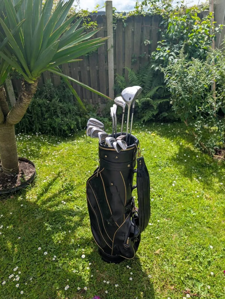 Great Cheap beginner set of Golf clubs - Image 1