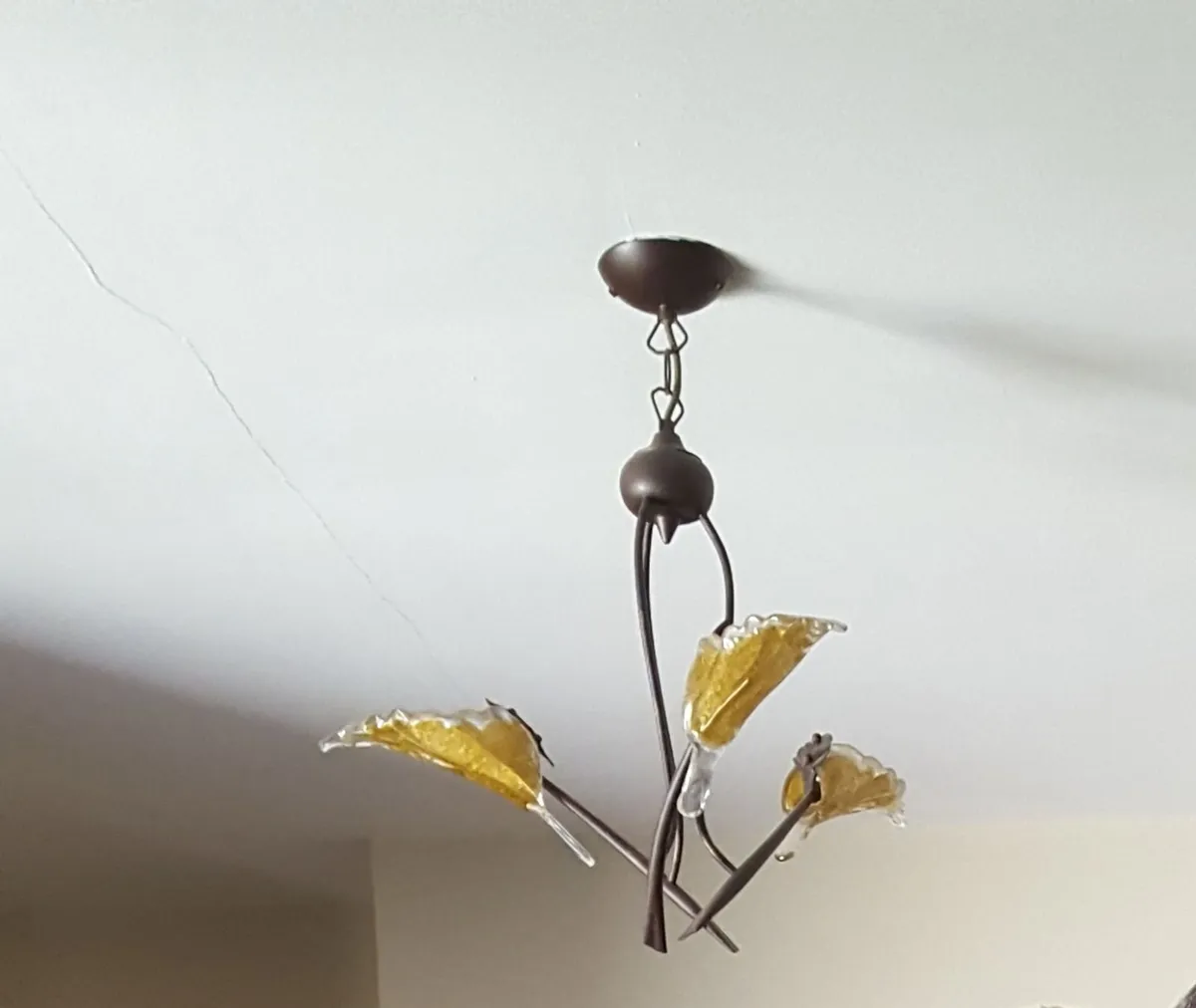 Lovely leaf shaped ceiling lights - Image 2
