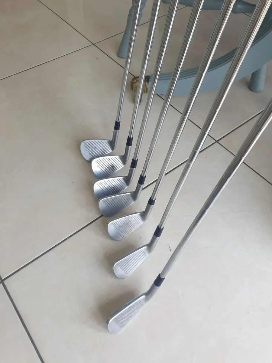 Taylormade P770 golf irons (4-PW) & Powacaddy bag - Image 3
