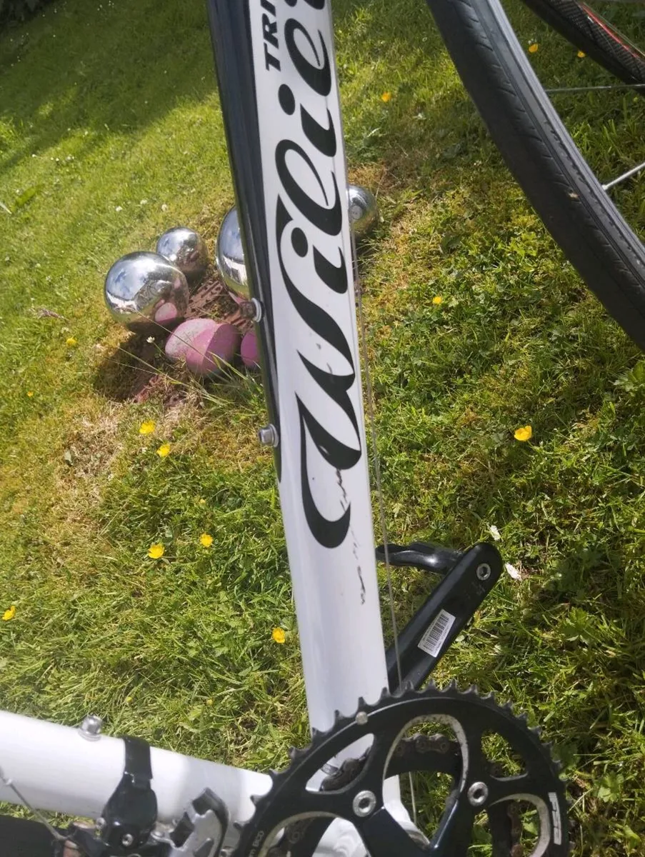 Willier Triestina Road Bike - Image 4