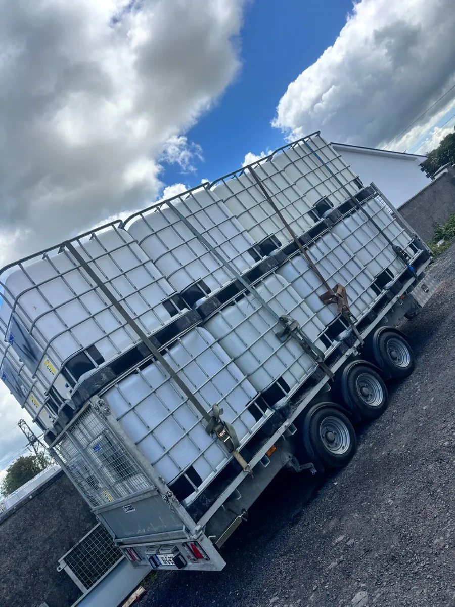 Clean IBC tanks - Image 1