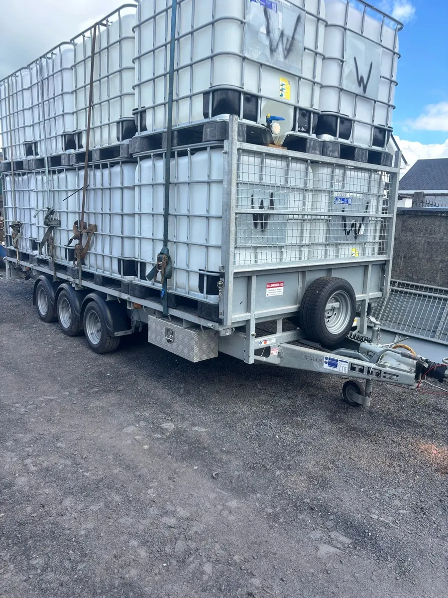 Clean IBC tanks - Image 2