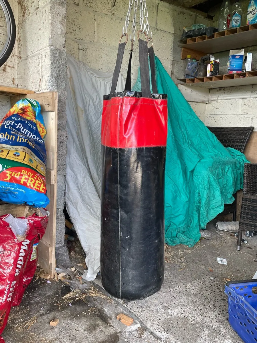 Punch bag