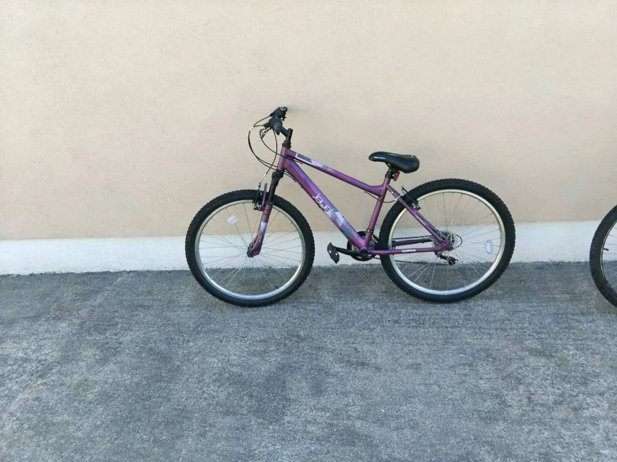 Mountain bike - Image 1