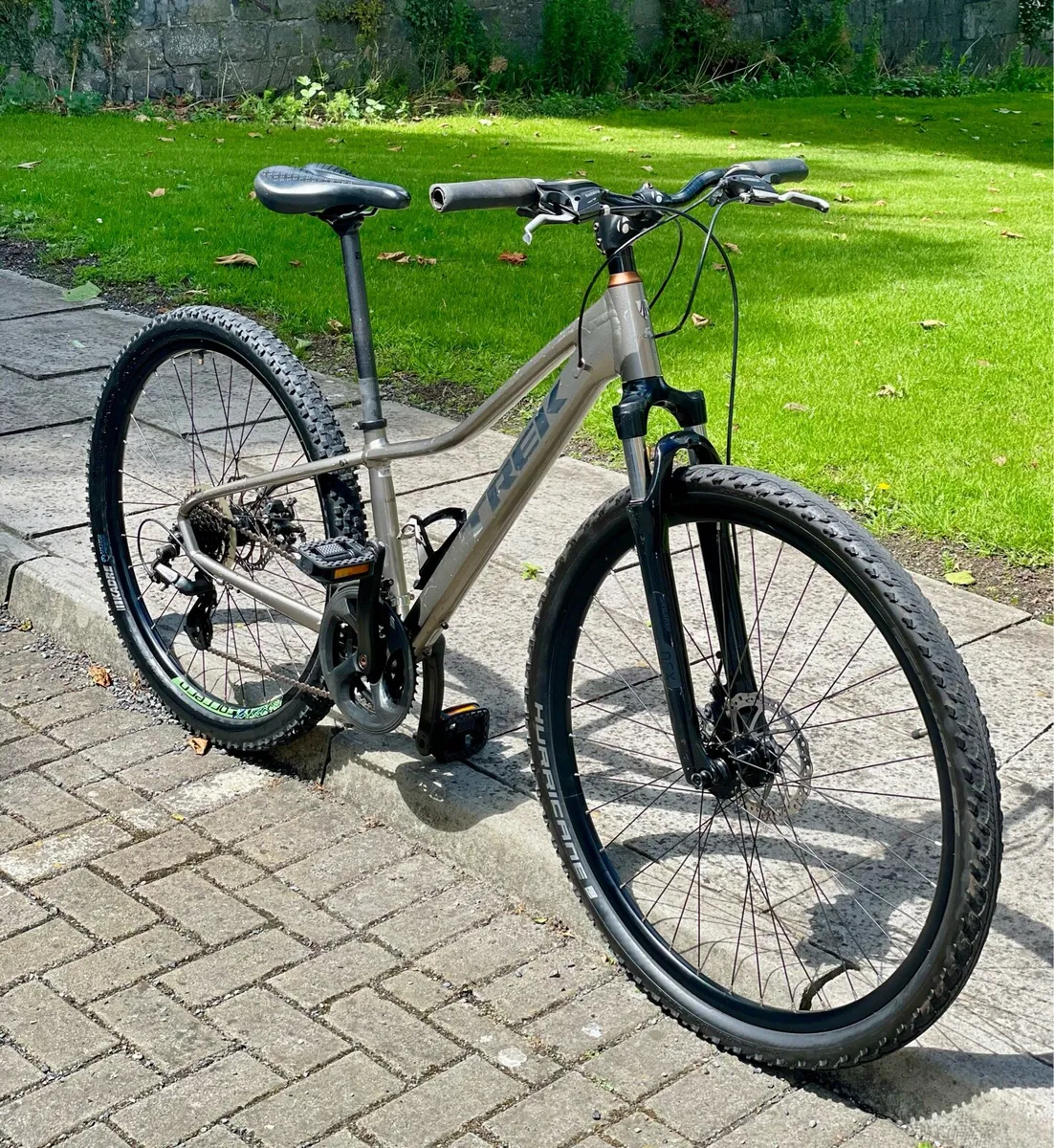 Trek Dual Sport - Image 2