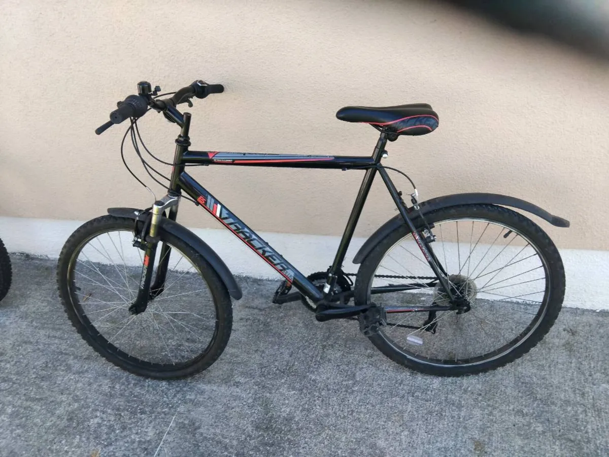 Mountain bike - Image 1