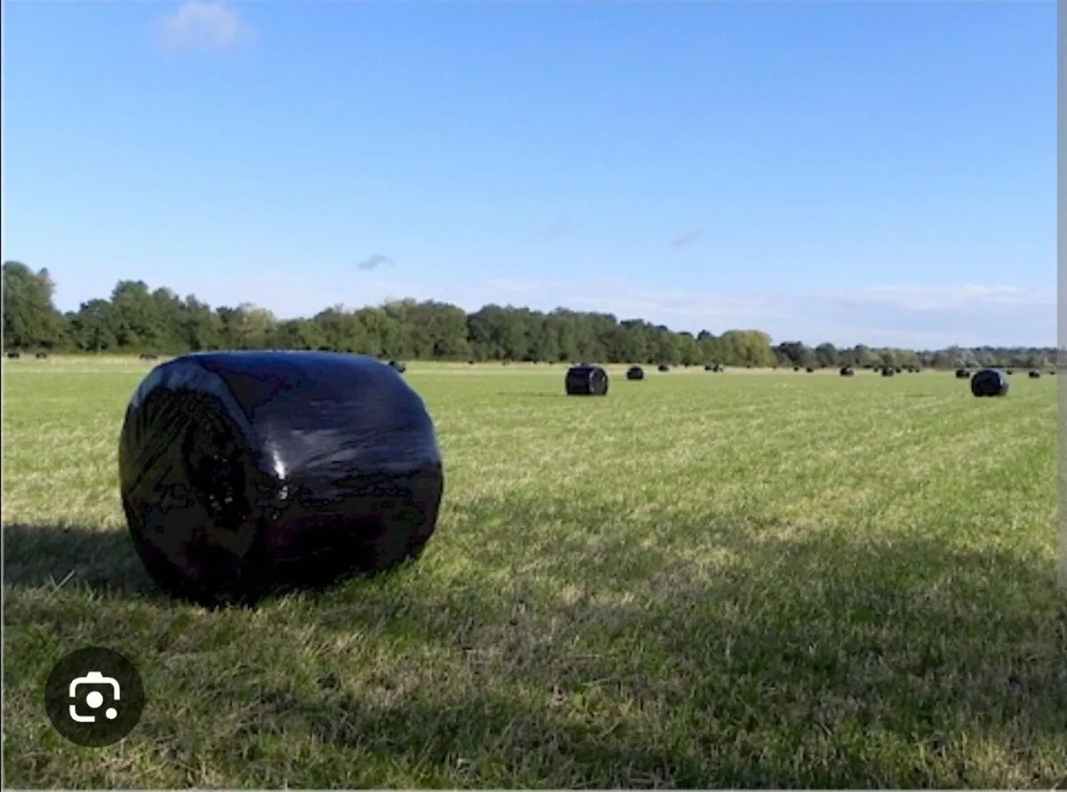 Silage Bales - Image 1