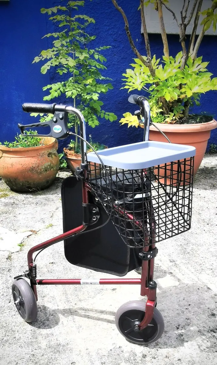 Rollator - Image 1