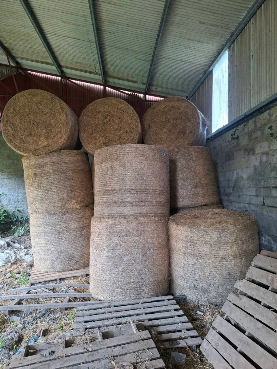Hay
