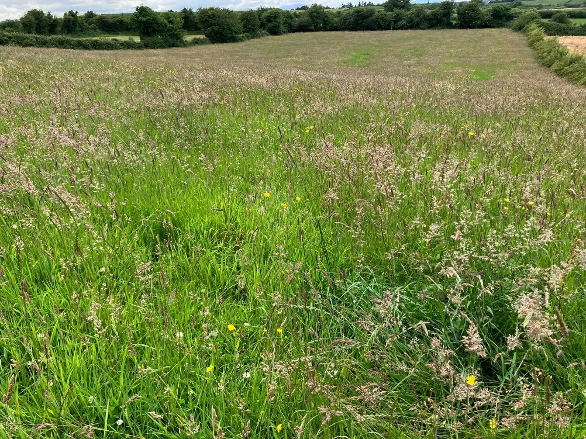 Silage Bales For Sale